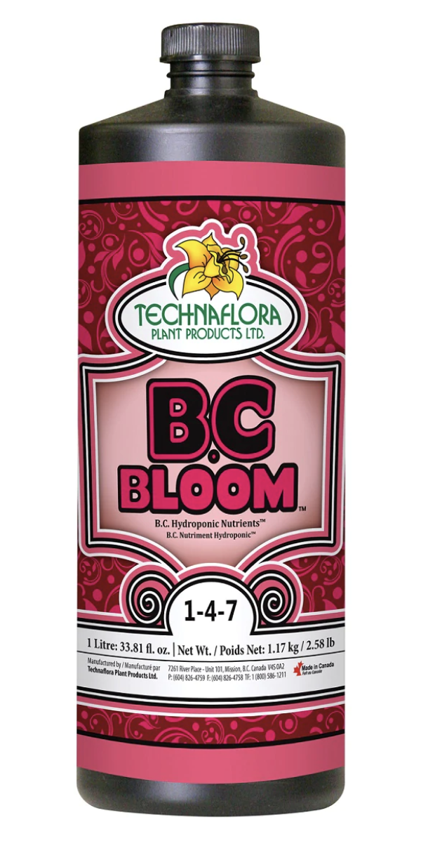 B.C. Bloom, 1L
