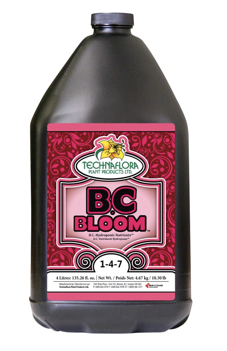 B.C. Bloom, 4L