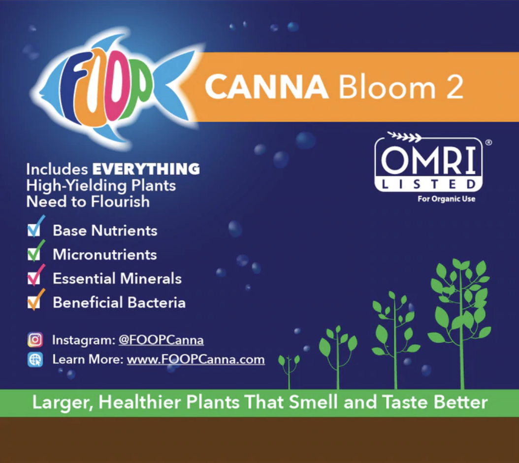 Canna Bloom 2 - 2-3-0, 1 qt