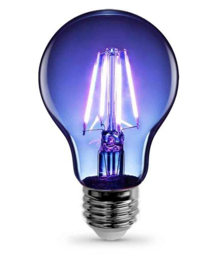 Electric Blue A19 LED Light Bulb 40W Equivalent 4.5 Watt Filament Clear Glass