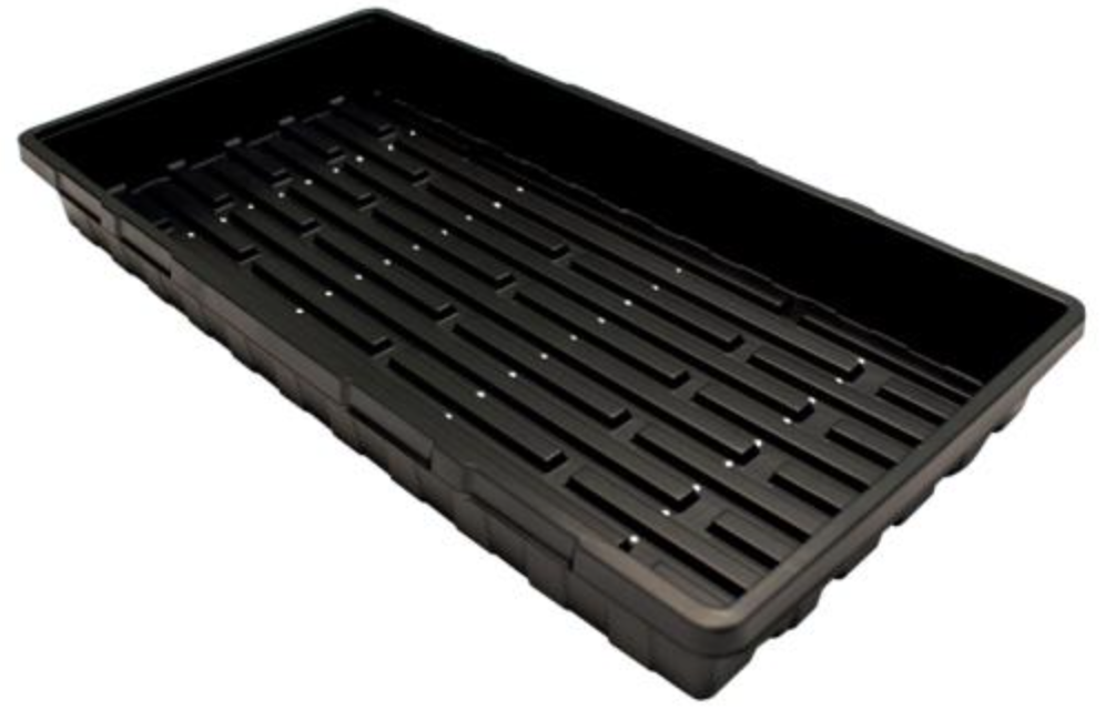 Propagation Trays 10 x 20 with Holes