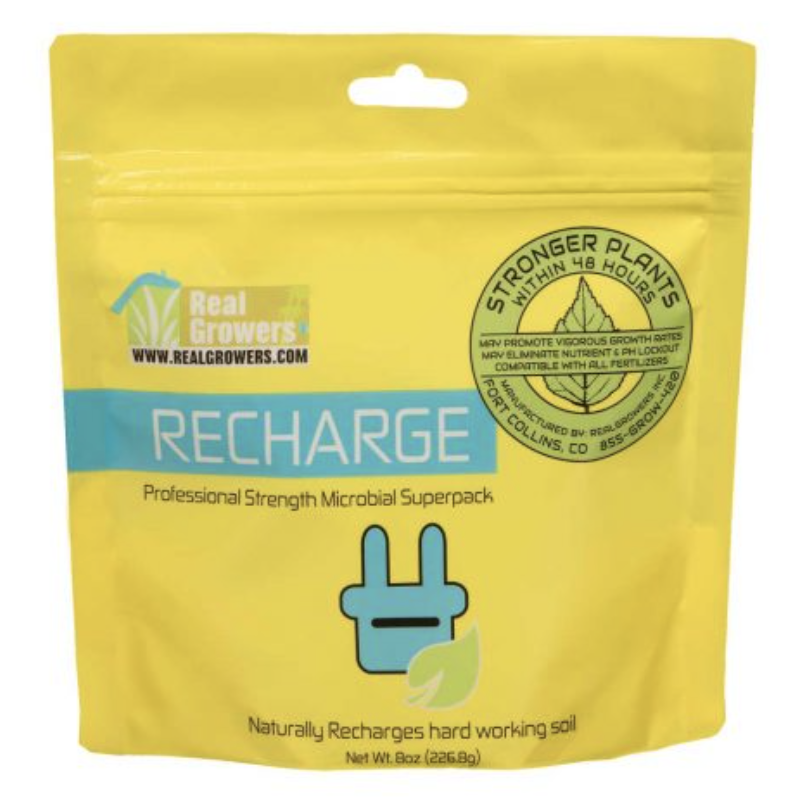 Recharge Professional Strength Microbial Superpack, 8 oz