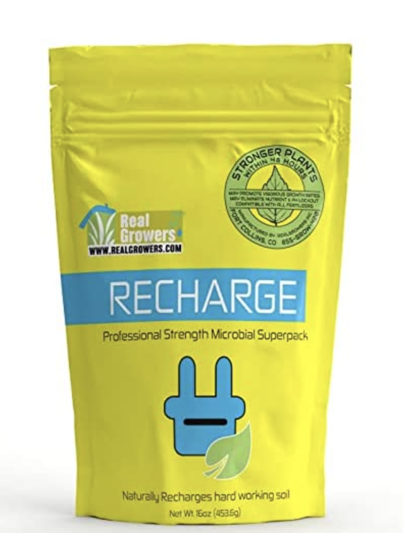 Recharge Professional Strength Microbial Superpack, 16 oz