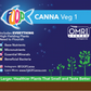 Canna Veg 1 - 0-0-1, 1 qt