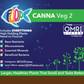 Canna Veg 2 - 2-1-0, 1 qt
