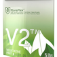 V2 Vegetative Part 2, 6-17-25, 5 lbs