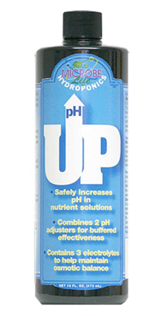 pH Up, 1 qt