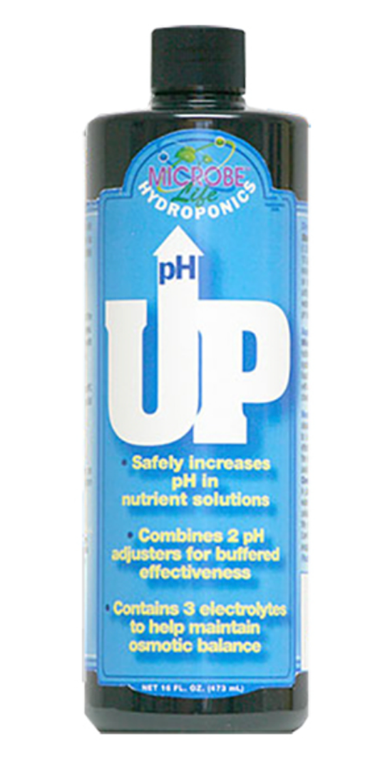 pH Up, 1 qt